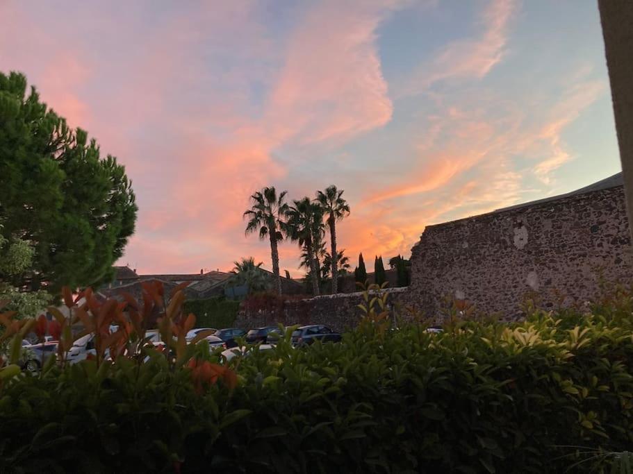 Lou Cameou Marseillan (Herault) Buitenkant foto