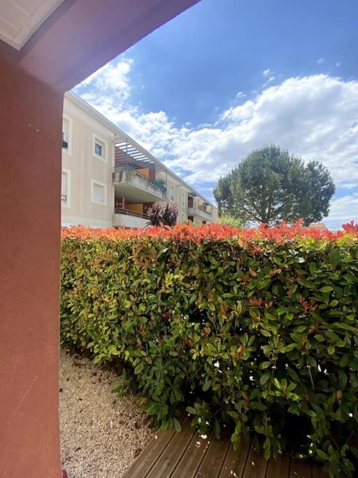 Lou Cameou Marseillan (Herault) Buitenkant foto